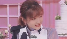 吃瓜娱乐圈小说视频